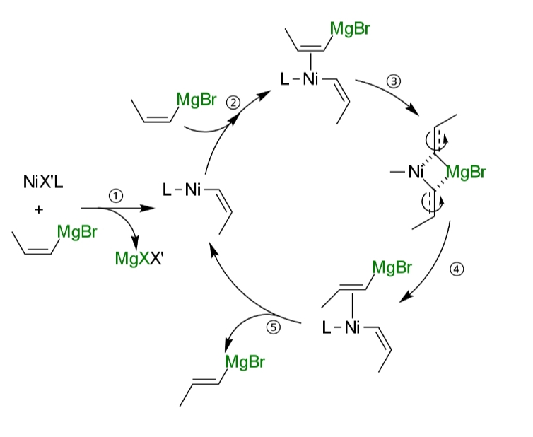 アルケニルグリニャール試薬の異性化の反応機構